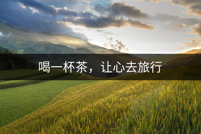 喝一杯茶，讓心去旅行