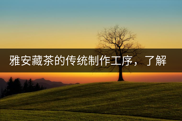 雅安藏茶的傳統(tǒng)制作工序，了解了傳統(tǒng)技藝才能更好的了解茶品！