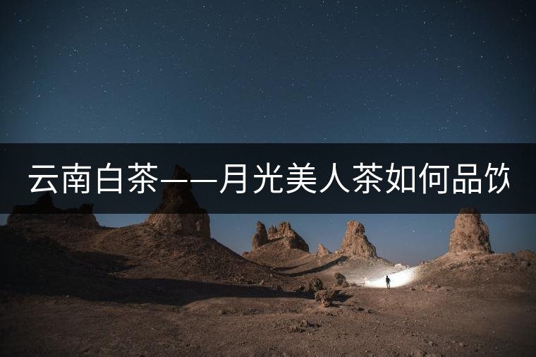 云南白茶——月光美人茶如何品飲？