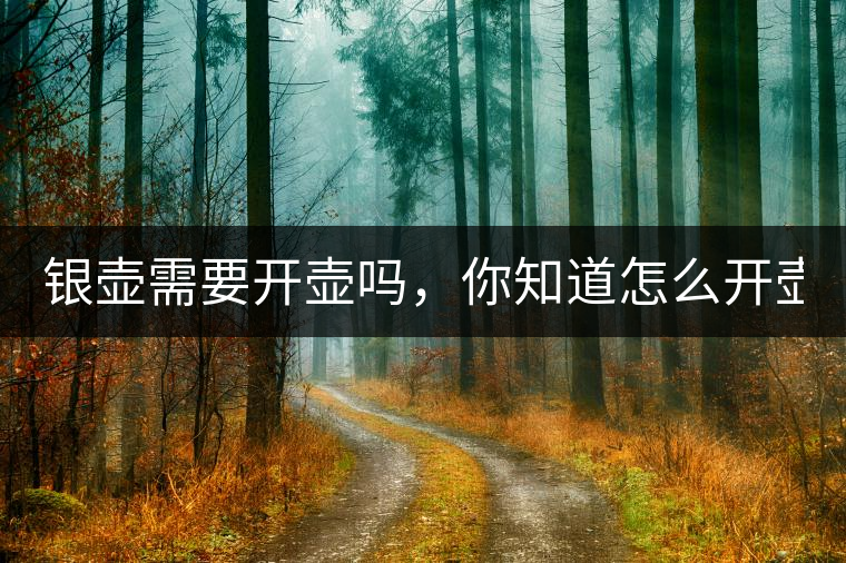 銀壺需要開壺嗎，你知道怎么開壺？