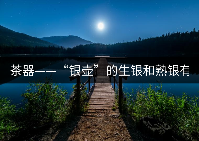 茶器——“銀壺”的生銀和熟銀有什么區(qū)別嗎？