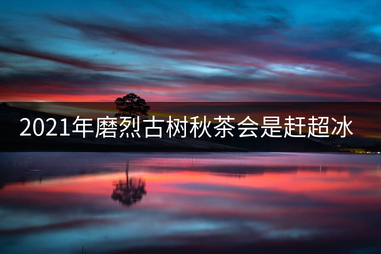 2021年磨烈古樹(shù)秋茶會(huì)是趕超冰島的存在嗎？