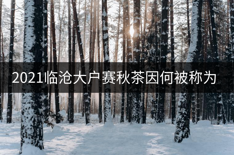 2021臨滄大戶賽秋茶因何被稱為潛力股？