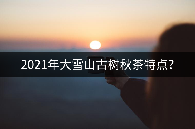 2021年大雪山古樹(shù)秋茶特點(diǎn)？