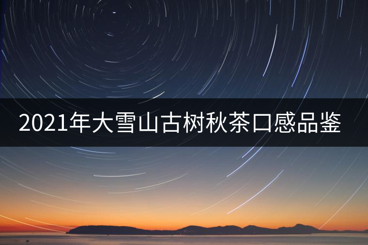 2021年大雪山古樹秋茶口感品鑒？