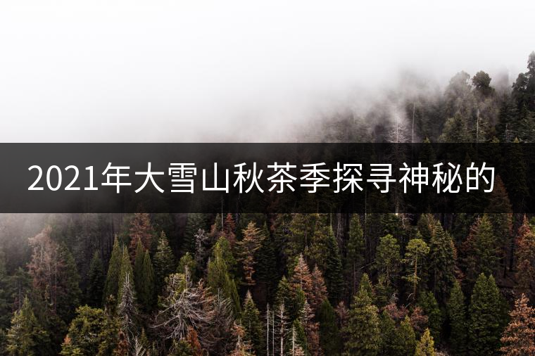2021年大雪山秋茶季探尋神秘的古樹群落! 2021年大雪山秋茶季探尋神秘的古樹群落!