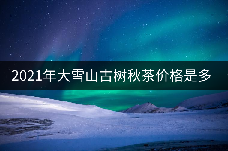 2021年大雪山古樹秋茶價格是多少？