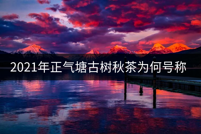 2021年正氣塘古樹秋茶為何號稱小冰島？