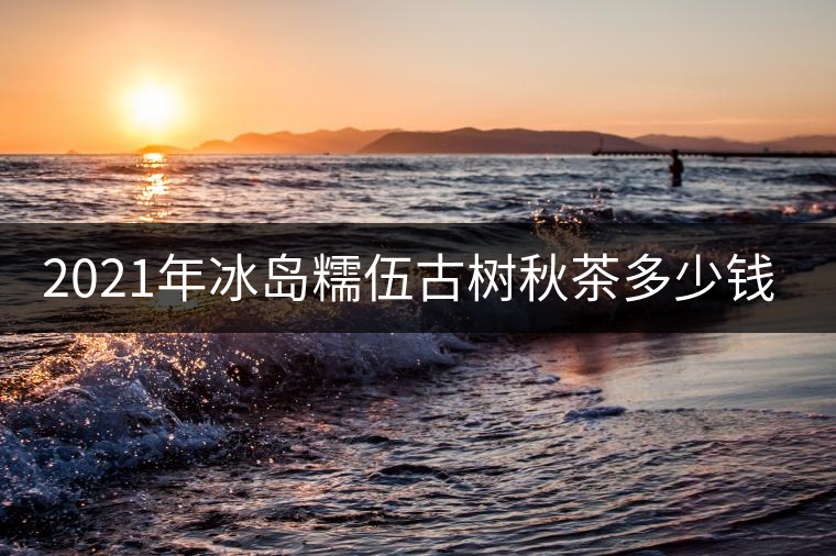 2021年冰島糯伍古樹秋茶多少錢一公斤？