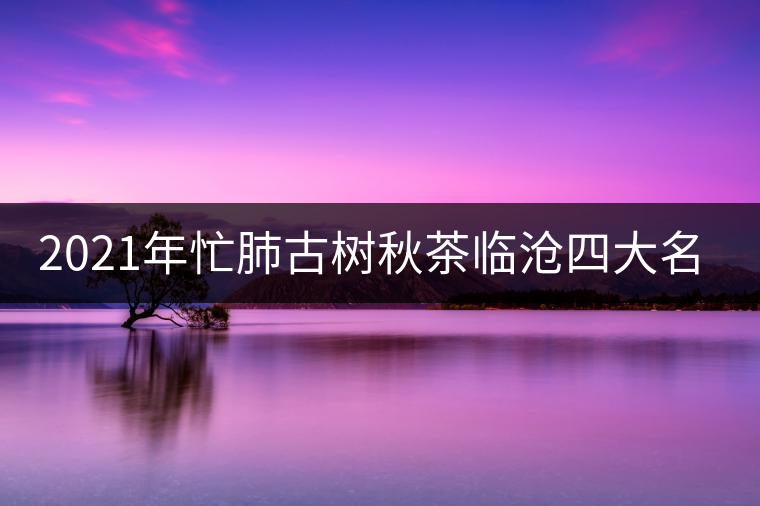 2021年忙肺古樹秋茶臨滄四大名茶之一！