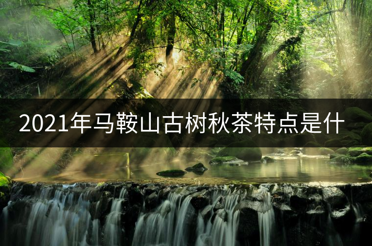 2021年馬鞍山古樹秋茶特點(diǎn)是什么？