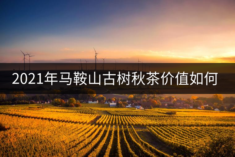 2021年馬鞍山古樹秋茶價值如何？