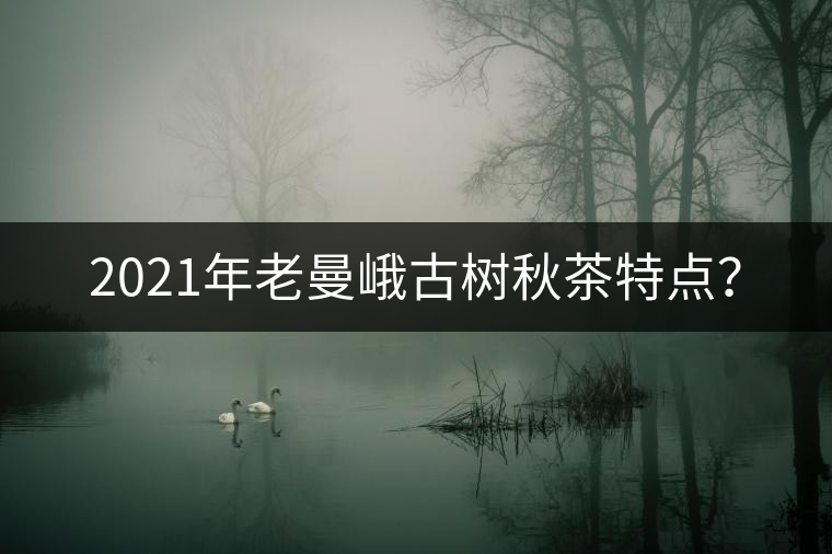 2021年老曼峨古樹秋茶特點(diǎn)？