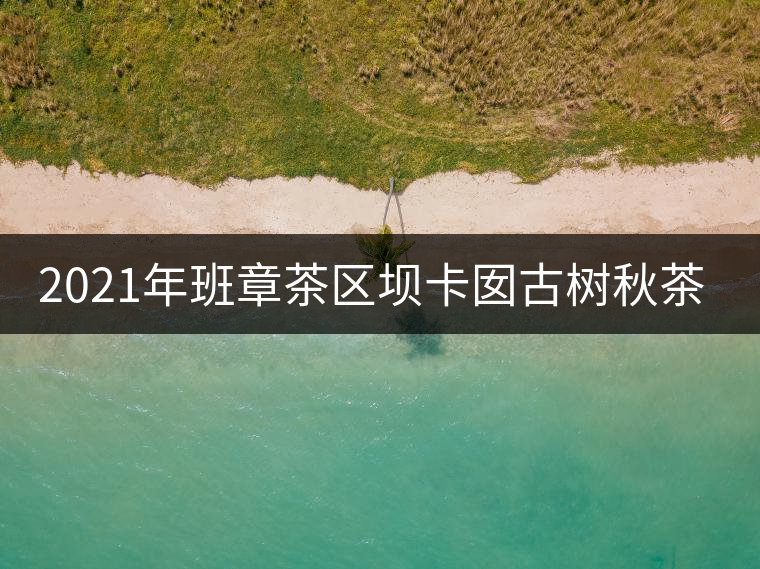 2021年班章茶區(qū)壩卡囡古樹秋茶多少錢一公斤？