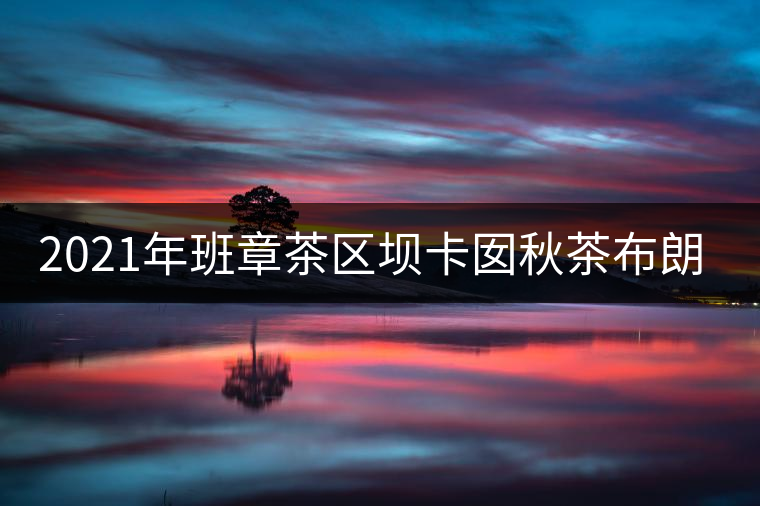 2021年班章茶區(qū)壩卡囡秋茶布朗茶系中的甜茶類！