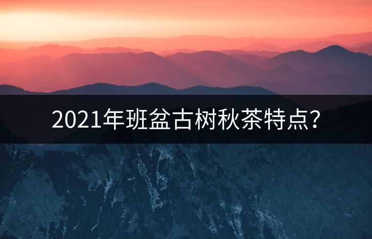 2021年班盆古樹秋茶特點(diǎn)？