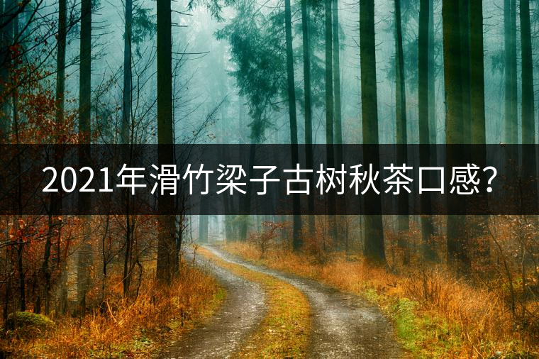 2021年滑竹梁子古樹秋茶口感？