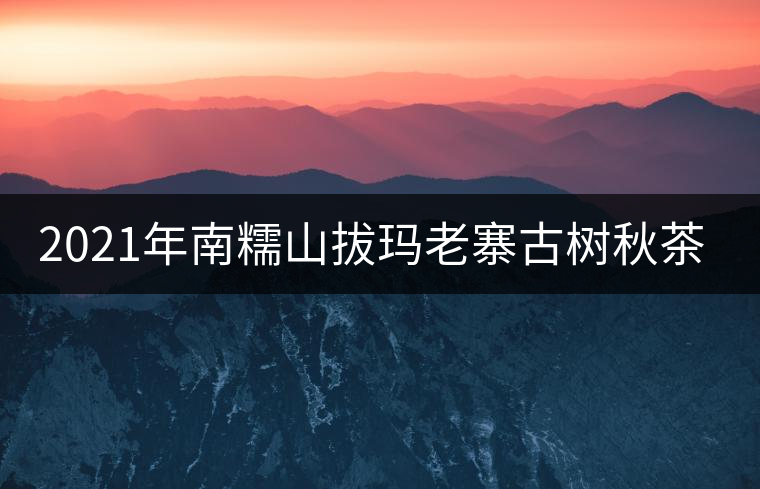 2021年南糯山拔瑪老寨古樹秋茶價格？