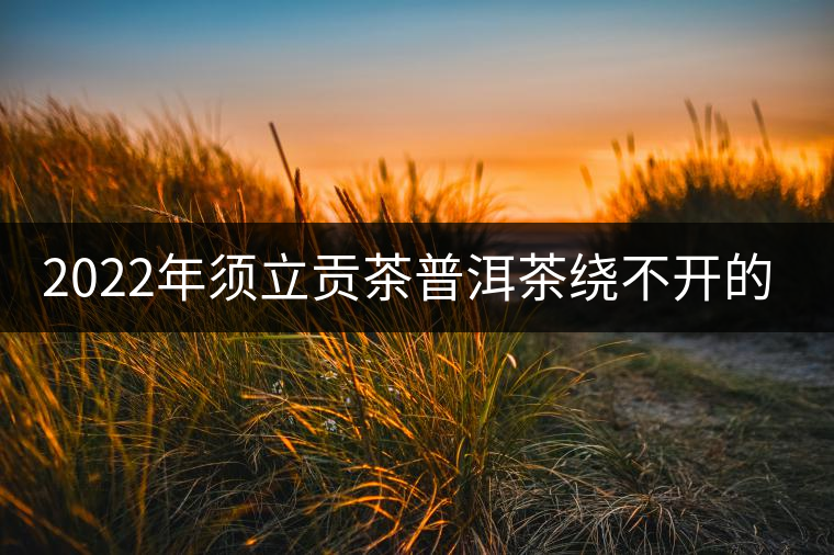 2022年須立貢茶普洱茶繞不開(kāi)的古茶山！