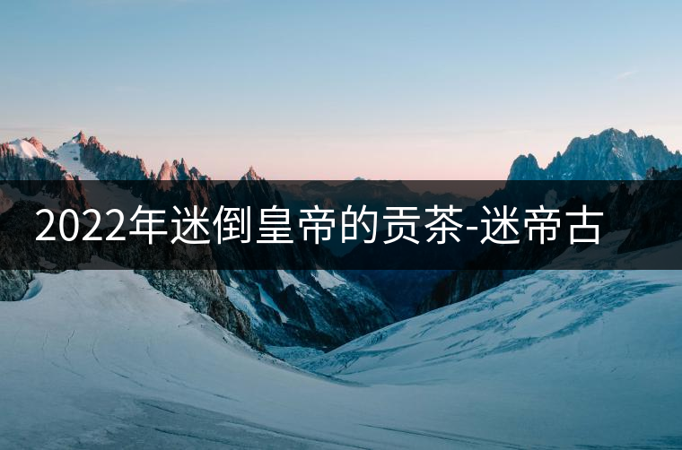 2022年迷倒皇帝的貢茶-迷帝古樹(shù)春茶特點(diǎn)？