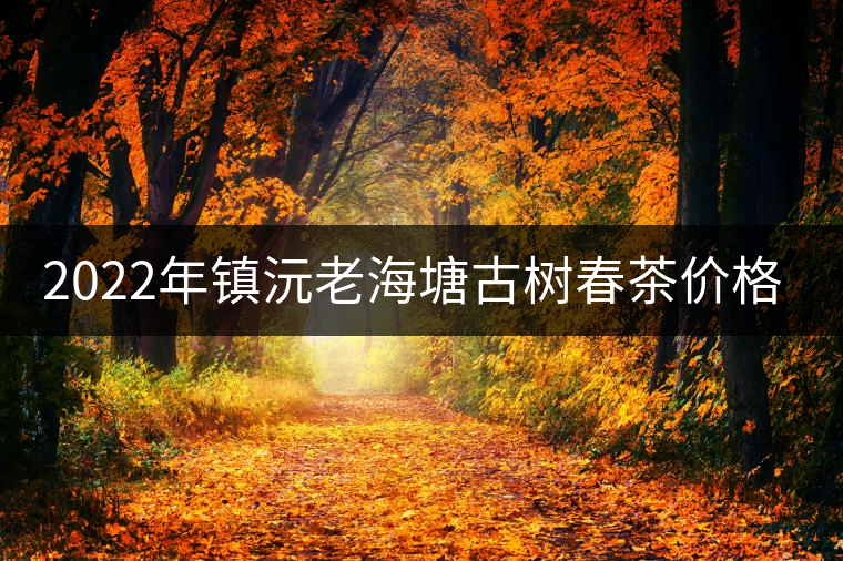 2022年鎮(zhèn)沅老海塘古樹春茶價格？