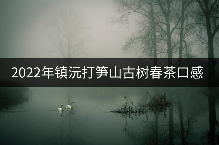2022年鎮(zhèn)沅打筍山古樹春茶口感？