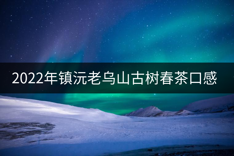 2022年鎮(zhèn)沅老烏山古樹春茶口感？