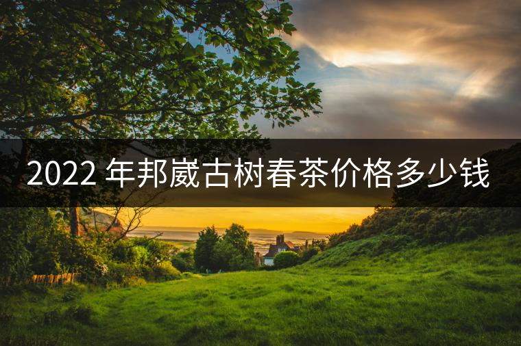 2022 年邦崴古樹春茶價(jià)格多少錢一公斤？