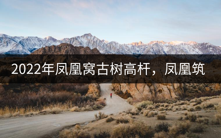 2022年鳳凰窩古樹高桿，鳳凰筑巢的地方