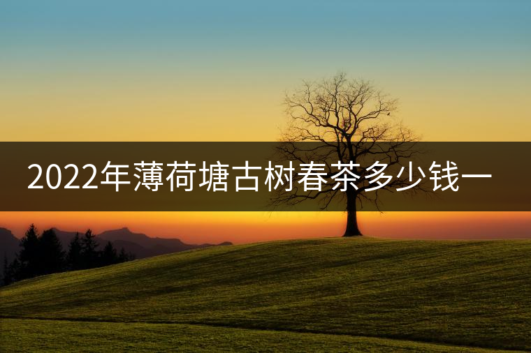 2022年薄荷塘古樹春茶多少錢一公斤？