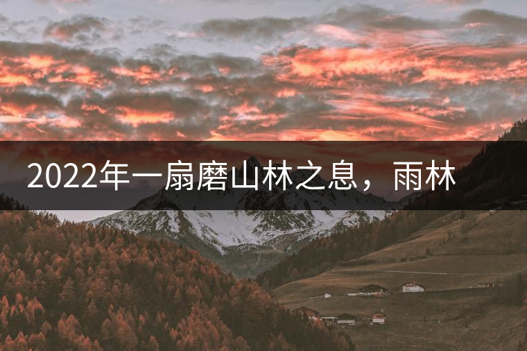2022年一扇磨山林之息，雨林之味，原始之態(tài)