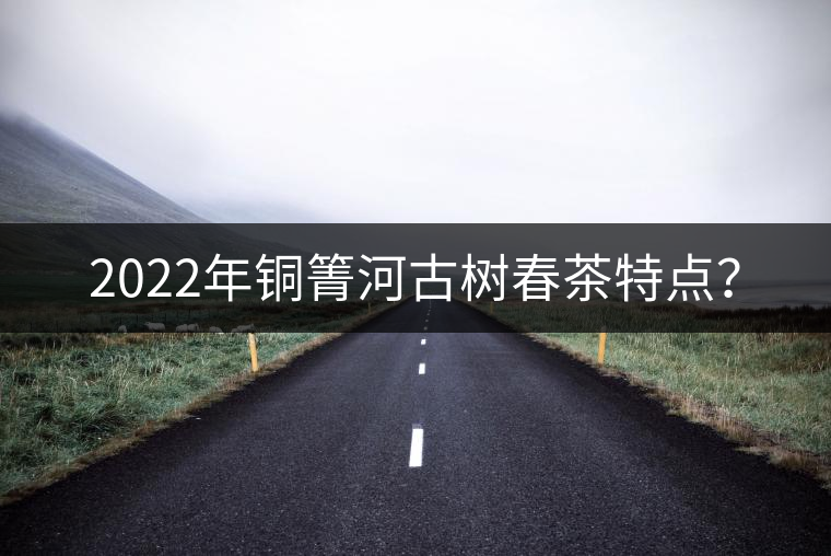 2022年銅箐河古樹春茶特點？