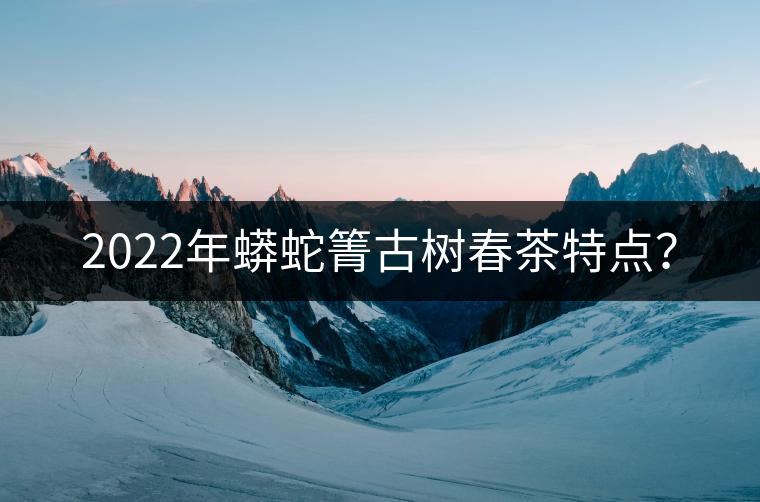 2022年蟒蛇箐古樹春茶特點(diǎn)？