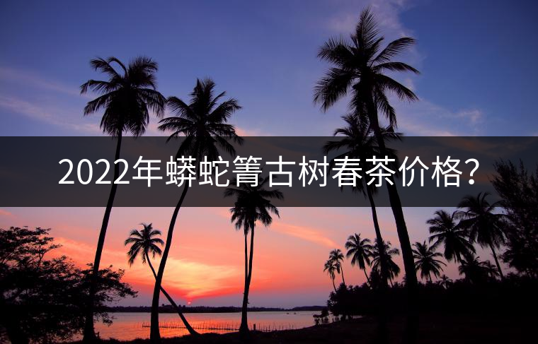 2022年蟒蛇箐古樹春茶價格？