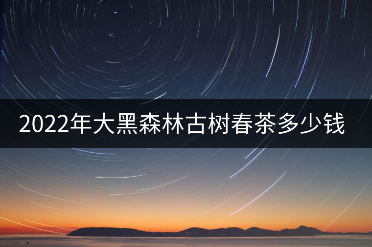 2022年大黑森林古樹春茶多少錢一公斤？