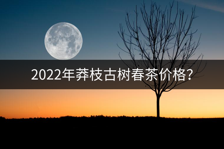 2022年莽枝古樹春茶價格？