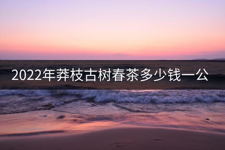 2022年莽枝古樹春茶多少錢一公斤？