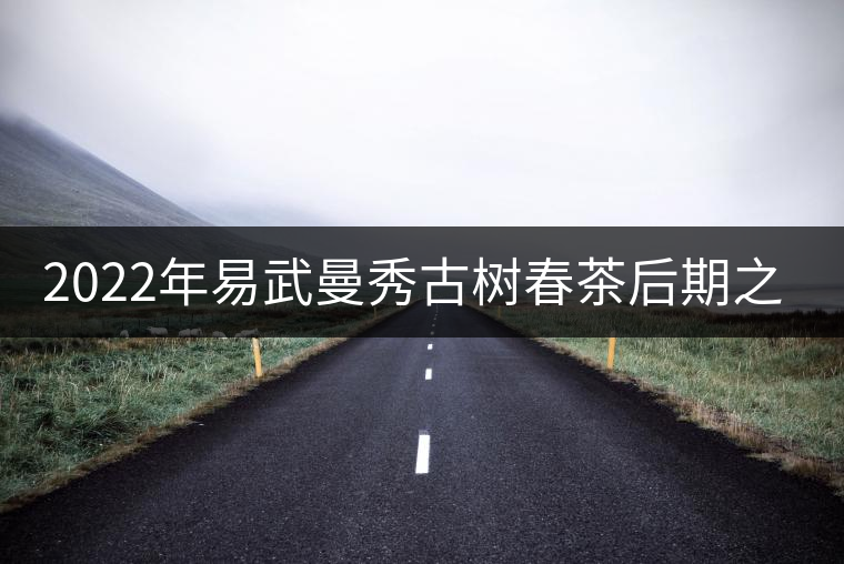 2022年易武曼秀古樹春茶后期之秀口感？