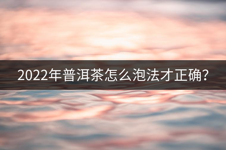 2022年普洱茶怎么泡法才正確？