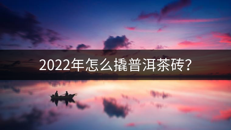 2022年怎么撬普洱茶磚？