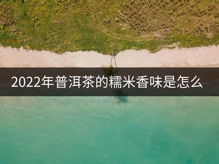 2022年普洱茶的糯米香味是怎么來的？