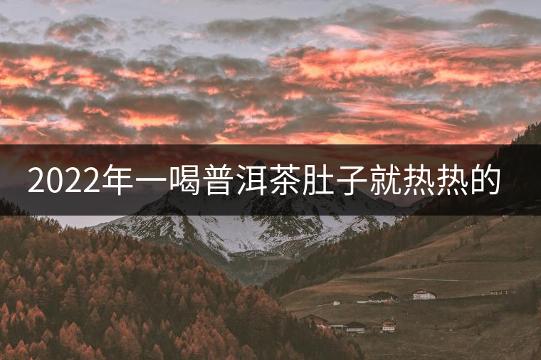 2022年一喝普洱茶肚子就熱熱的怎么回事？