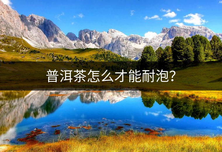 普洱茶怎么才能耐泡？