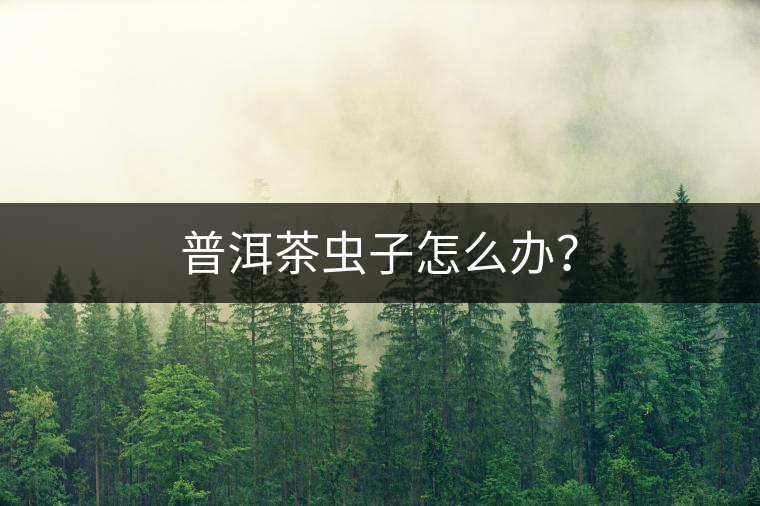 普洱茶蟲子怎么辦？