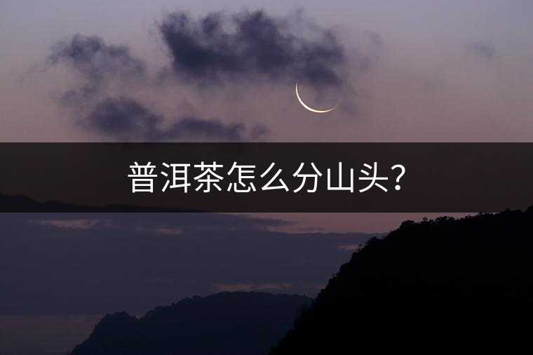 普洱茶怎么分山頭？