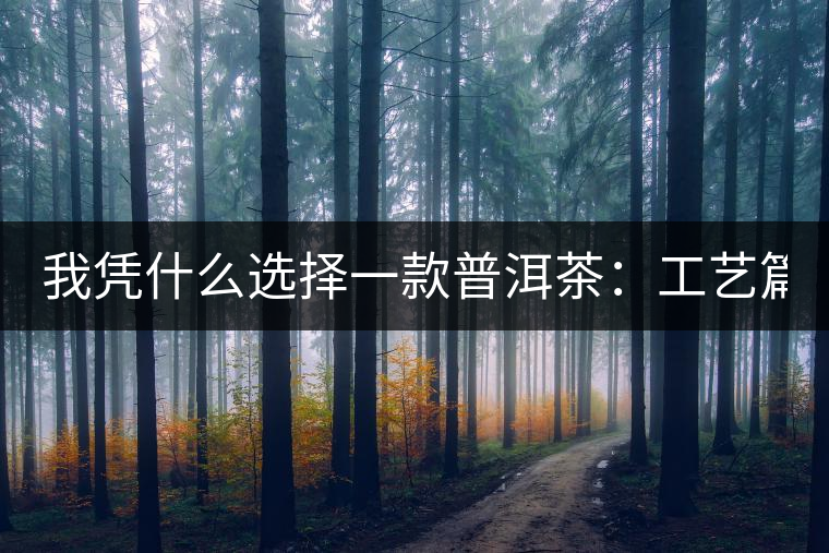 我憑什么選擇一款普洱茶：工藝篇？