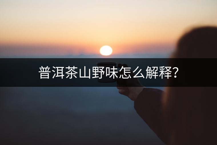 普洱茶山野味怎么解釋？