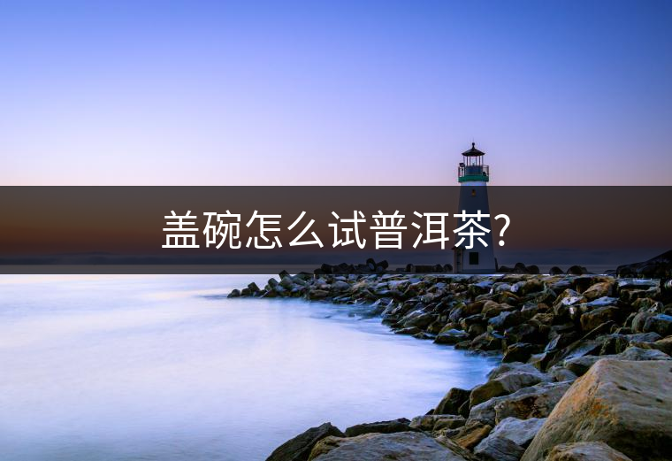 蓋碗怎么試普洱茶?
