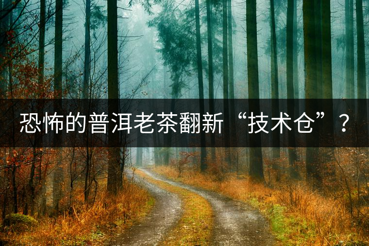 恐怖的普洱老茶翻新“技術(shù)倉”？