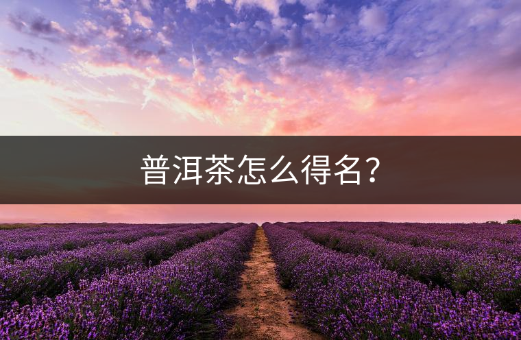 普洱茶怎么得名？